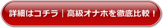 �d���I�i�z�[���̔�r