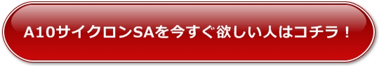 ���i�v�I�Ɏg����I�i�z